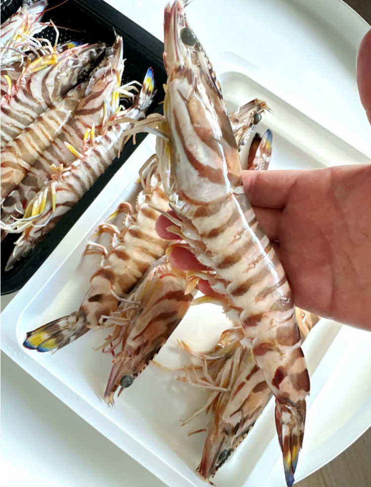 頂級生食級澎湖大明蝦 (500g)