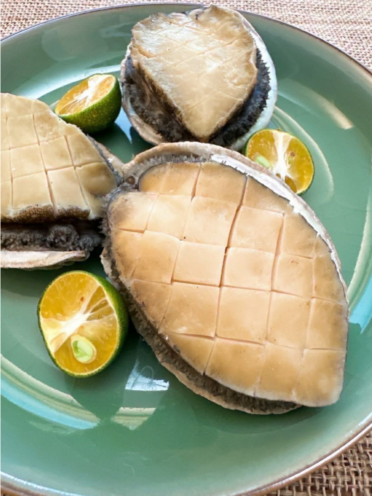 超級新品！活凍南非活鮑魚