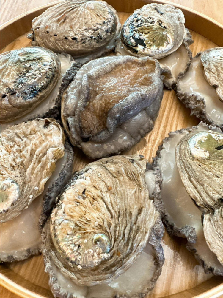 超級新品！活凍南非活鮑魚