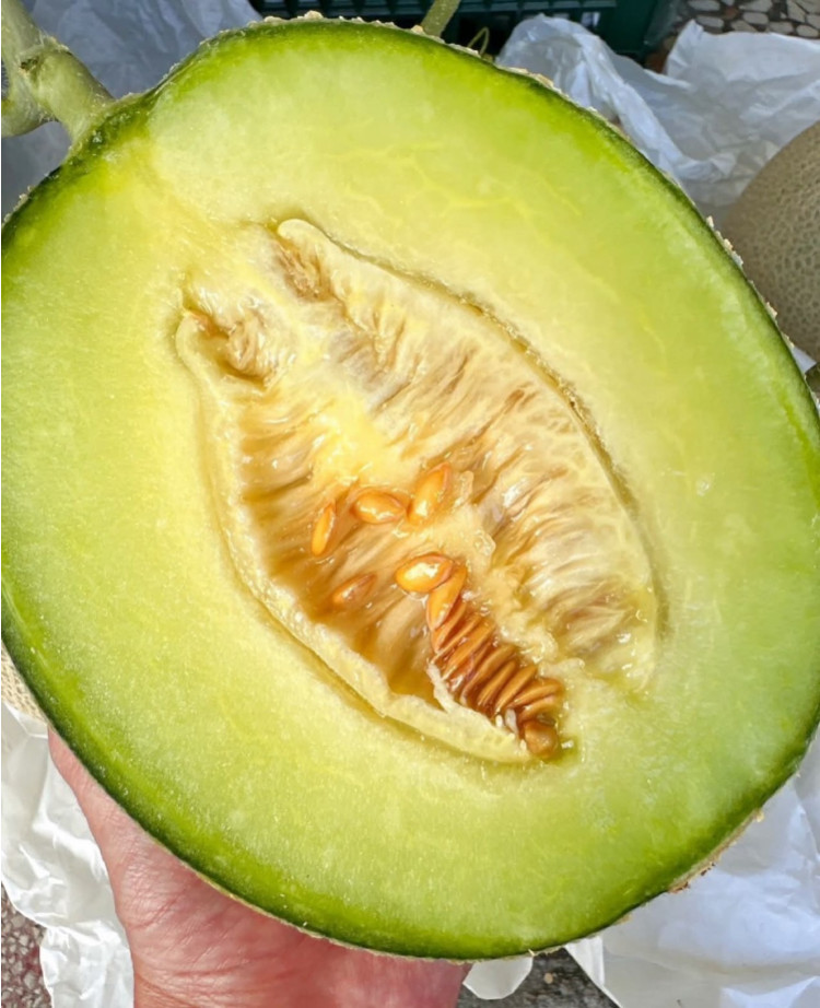 夢幻日本美華洋香瓜   (免運費)